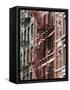 Fire Escapes, Chinatown, Manhattan, New York, United States of America, North America-Martin Child-Framed Stretched Canvas