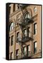 Fire Escapes, Tribeca, New York City, Ny, Usa-Natalie Tepper-Framed Stretched Canvas