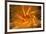 Fire Festival of the Catalonian Regions-Anibal Trejo-Framed Photographic Print