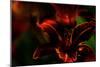 Fire Flowers-Howard Ruby-Mounted Photographic Print