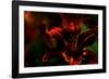Fire Flowers-Howard Ruby-Framed Photographic Print