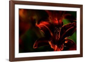 Fire Flowers-Howard Ruby-Framed Photographic Print