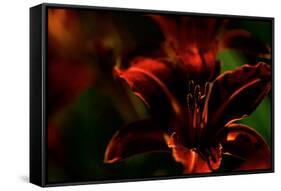 Fire Flowers-Howard Ruby-Framed Stretched Canvas