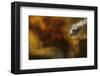 Fire in National Park of Cilento - Italy-null-Framed Art Print