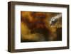 Fire in National Park of Cilento - Italy-null-Framed Art Print