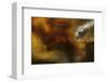 Fire in National Park of Cilento - Italy-null-Framed Art Print