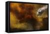 Fire in National Park of Cilento (Sa) - Italy-Antonio Grambone-Framed Stretched Canvas