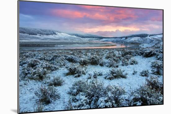 Fire in the Sky and Frosty Landscape, Hayden Valley, Yellowstone-Vincent James-Mounted Photographic Print