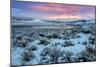 Fire in the Sky and Frosty Landscape, Hayden Valley, Yellowstone-Vincent James-Mounted Photographic Print