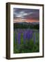 Fire in the Sky-Michael Blanchette-Framed Photographic Print