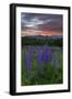 Fire in the Sky-Michael Blanchette-Framed Photographic Print