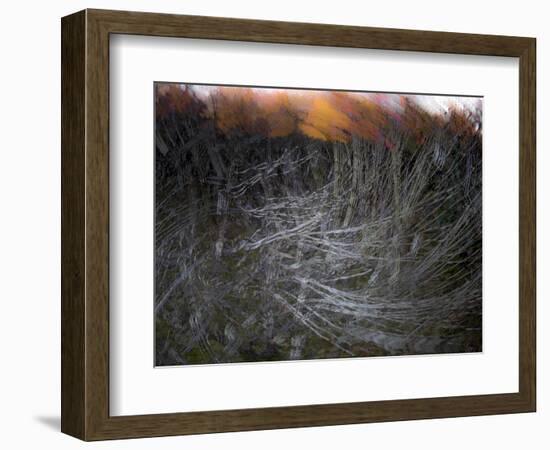 Fire in the Sky-Valda Bailey-Framed Photographic Print