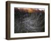 Fire in the Sky-Valda Bailey-Framed Photographic Print