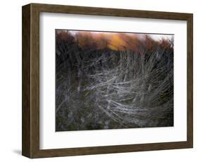 Fire in the Sky-Valda Bailey-Framed Photographic Print