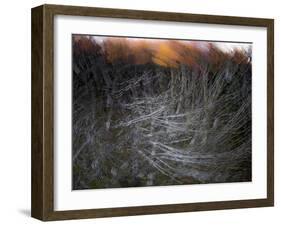 Fire in the Sky-Valda Bailey-Framed Premium Photographic Print