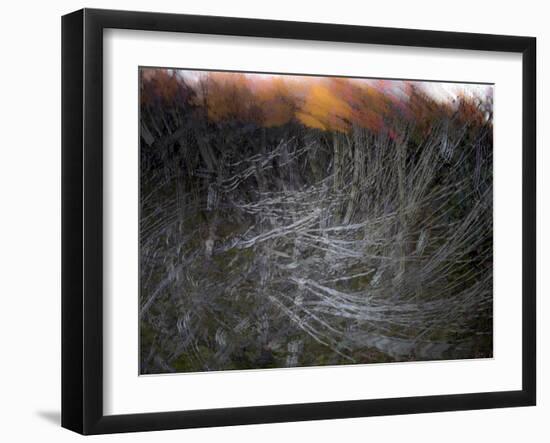 Fire in the Sky-Valda Bailey-Framed Premium Photographic Print