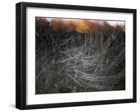 Fire in the Sky-Valda Bailey-Framed Premium Photographic Print