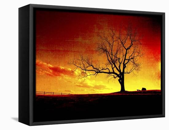 Fire in the Sky-Christy Ann-Framed Stretched Canvas