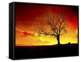 Fire in the Sky-Christy Ann-Framed Stretched Canvas