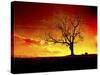 Fire in the Sky-Christy Ann-Stretched Canvas