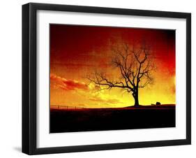 Fire in the Sky-Christy Ann-Framed Giclee Print