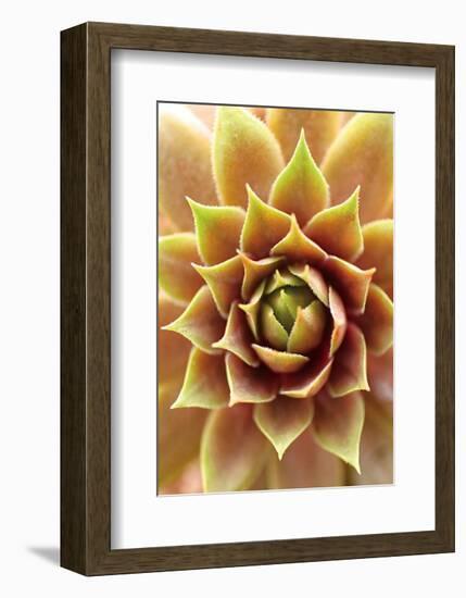 Fire Island 703-Brian Leighton-Framed Art Print