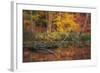 Fire Lake-Viviane Fedieu Daniel-Framed Photographic Print