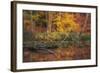 Fire Lake-Viviane Fedieu Daniel-Framed Photographic Print