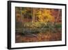 Fire Lake-Viviane Fedieu Daniel-Framed Photographic Print