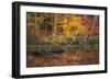 Fire Lake-Viviane Fedieu Daniel-Framed Photographic Print