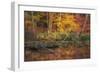 Fire Lake-Viviane Fedieu Daniel-Framed Photographic Print