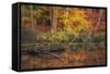 Fire Lake-Viviane Fedieu Daniel-Framed Stretched Canvas