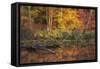 Fire Lake-Viviane Fedieu Daniel-Framed Stretched Canvas