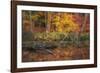 Fire Lake-Viviane Fedieu Daniel-Framed Photographic Print