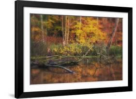 Fire Lake-Viviane Fedieu Daniel-Framed Photographic Print