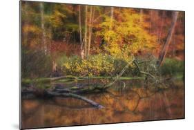 Fire Lake-Viviane Fedieu Daniel-Mounted Photographic Print