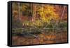 Fire Lake-Viviane Fedieu Daniel-Framed Stretched Canvas