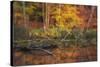 Fire Lake-Viviane Fedieu Daniel-Stretched Canvas