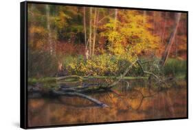 Fire Lake-Viviane Fedieu Daniel-Framed Stretched Canvas