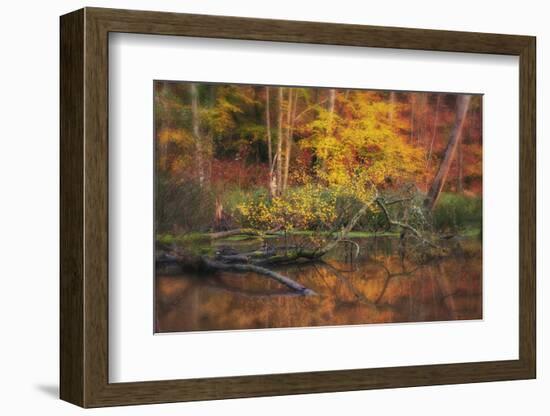 Fire Lake-Viviane Fedieu Daniel-Framed Photographic Print