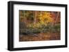 Fire Lake-Viviane Fedieu Daniel-Framed Photographic Print