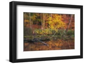 Fire Lake-Viviane Fedieu Daniel-Framed Photographic Print