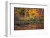 Fire Lake-Viviane Fedieu Daniel-Framed Photographic Print