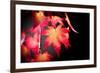 Fire Leaves-Philippe Sainte-Laudy-Framed Photographic Print