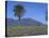 Fire Mountain, Lanzarote, Canary Islands, Atlantic, Spain, Europe-John Miller-Stretched Canvas