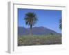 Fire Mountain, Lanzarote, Canary Islands, Atlantic, Spain, Europe-John Miller-Framed Photographic Print