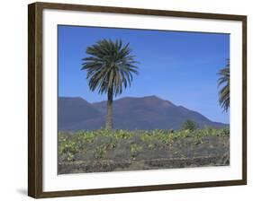Fire Mountain, Lanzarote, Canary Islands, Atlantic, Spain, Europe-John Miller-Framed Photographic Print