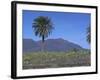 Fire Mountain, Lanzarote, Canary Islands, Atlantic, Spain, Europe-John Miller-Framed Photographic Print