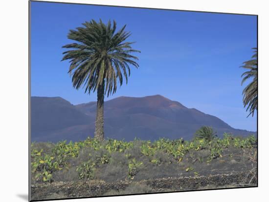 Fire Mountain, Lanzarote, Canary Islands, Atlantic, Spain, Europe-John Miller-Mounted Photographic Print