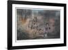 Fire on the Savannah-Peter Darro-Framed Limited Edition